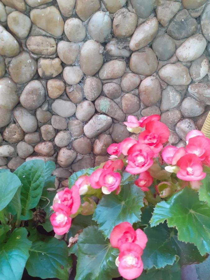 Pousada Recanto Das Flores برايا دي مويتاس المظهر الخارجي الصورة